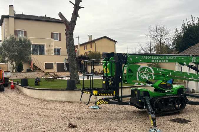 Abattage d'un pin à Saint Etienne des Oullières