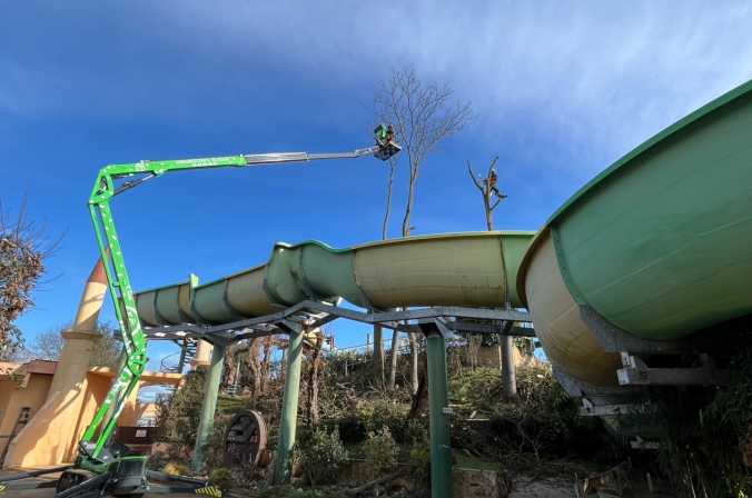 Entretien et Taille d'arbres dans un parc zoologique à Romanèche-Thorins