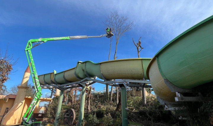 Entretien et Taille d'arbres dans un parc zoologique à Romanèche-Thorins