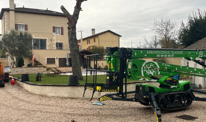 Abattage d'un pin à Saint Etienne des Oullières