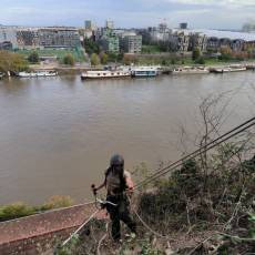 Abattage d'acacias et remise en état d'un terrain abrupt à La Mulatière