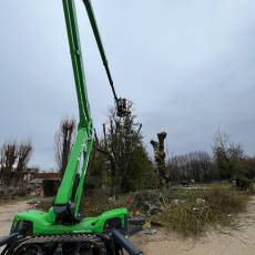 Entretien et Taille d'arbres dans un parc zoologique à Romanèche-Thorins