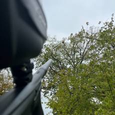 Suppression d&#039;un nid de frelons chez un particulier à Arnas