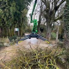 Entretien et Taille d'arbres dans un parc zoologique à Romanèche-Thorins