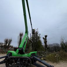 Entretien et Taille d'arbres dans un parc zoologique à Romanèche-Thorins