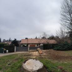Abattage d&#039;un cèdre par démontage à Saint-Didier-au-Mont-d&#039;Or